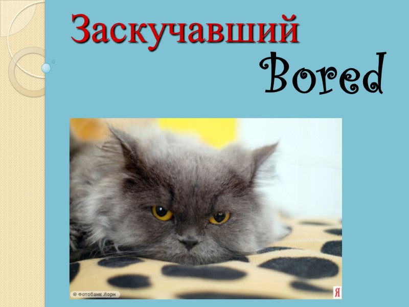 Bored Заскучавший